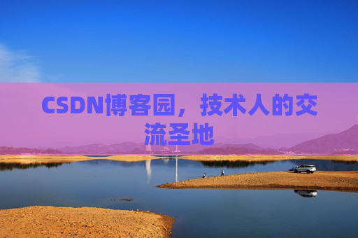CSDN博客园，技术人的交流圣地